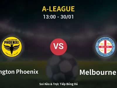 Kết Quả: Wellington Phoenix 2-2 Melbourne City – Highlight & Bàn Thắng | A-League