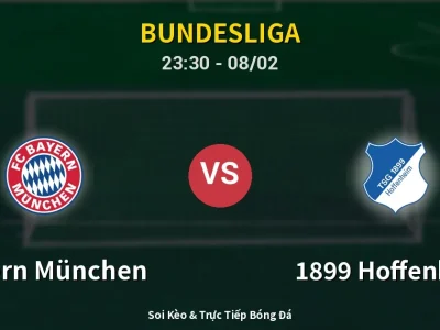 Soi Kèo Bayern München vs 1899 Hoffenheim – 23:30 08/02 | Nhận Định, Dự Đoán Tỷ Số
