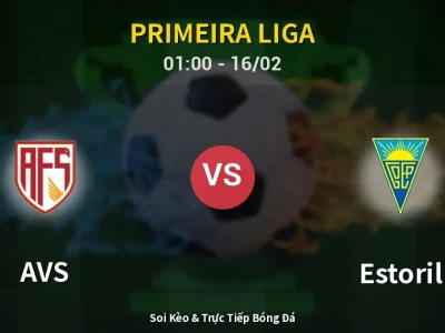 Kết Quả: AVS 3-0 Estoril – Highlight & Bàn Thắng | Primeira Liga