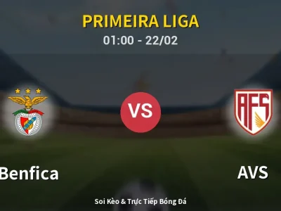 Kết Quả: Benfica 3-0 AVS – Highlight & Bàn Thắng | Primeira Liga