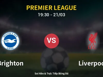 🔴 Trực Tiếp: Brighton 2-1 Liverpool – Link Xem Premier League (Full HD)
