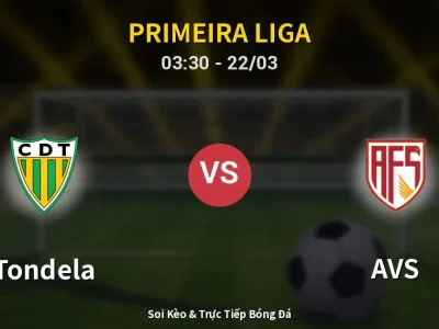 Kết Quả: Tondela 0-0 AVS – Highlight & Bàn Thắng | Primeira Liga