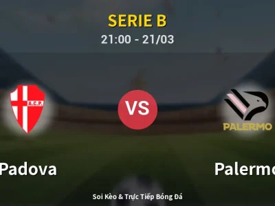 🔴 Trực Tiếp: Padova 0-0 Palermo – Link Xem Serie B (Full HD)