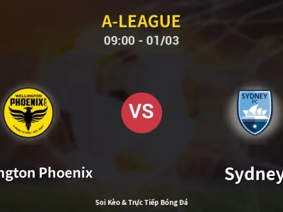 Kết Quả: Wellington Phoenix 0-1 Sydney – Highlight & Bàn Thắng | A-League
