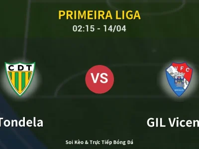 Kết Quả: Tondela 2-2 GIL Vicente – Highlight & Bàn Thắng | Primeira Liga