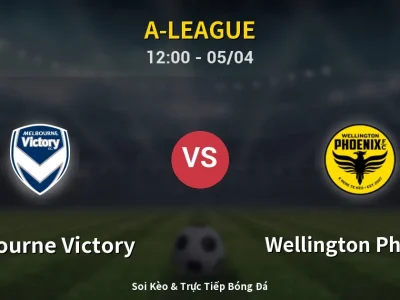 🔴 Trực Tiếp: Melbourne Victory 0-0 Wellington Phoenix – Link Xem A-League (Full HD)