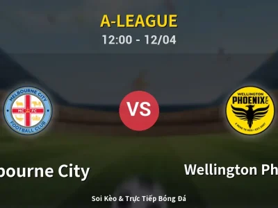 Kết Quả: Melbourne City 2-0 Wellington Phoenix – Highlight & Bàn Thắng | A-League
